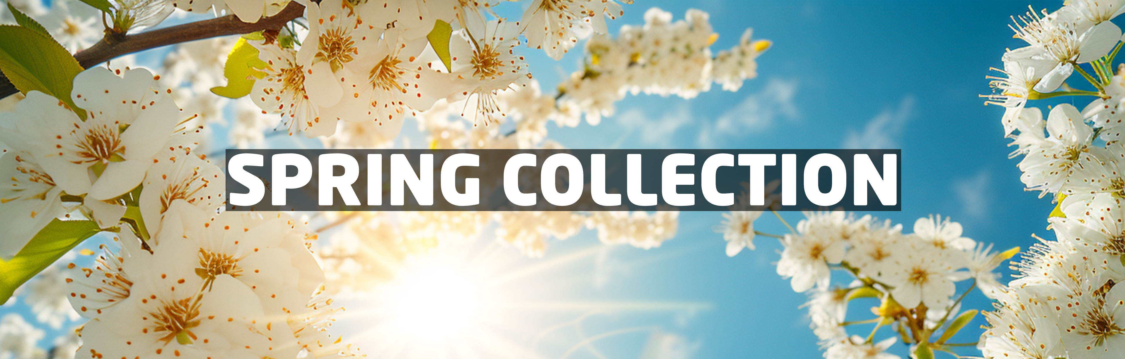 The Spring Collection